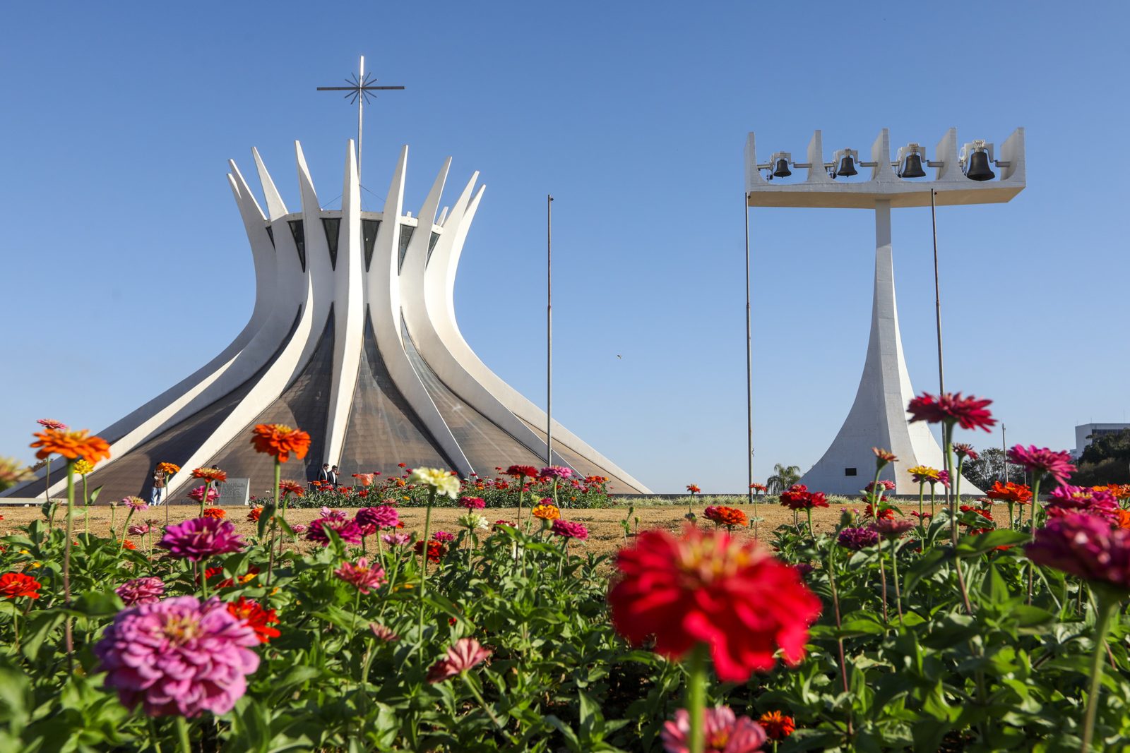 Catedral de Brasília - passeio Chama o Zé